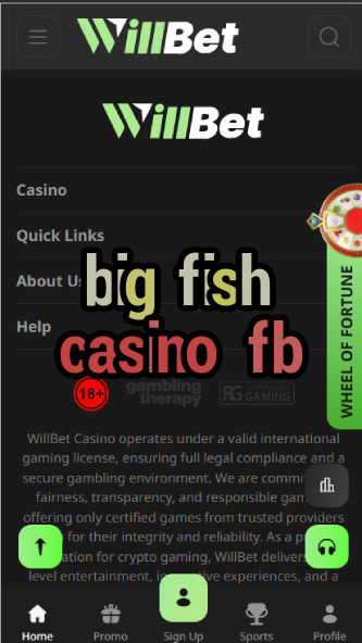 Big Fish Casino FB - Facebook Casino Games-casinoorder.vip